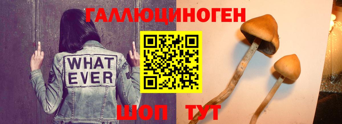 Галлюциногенные грибы прущие грибы  Вход с VPN  Галлюциногенные грибы прущие грибы  Пушкино 